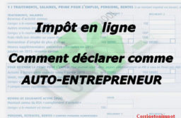 Comment remplir la déclaration d’impôt 2024 sur les revenus pour les auto-entrepreneurs ? Montants, cases et accès au formulaire 2042C.