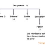 Succession des neveux nièces