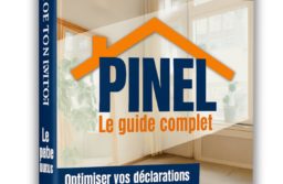 La nouvelle version de l’Ebook Pinel. Offre aux précédents acheteurs.